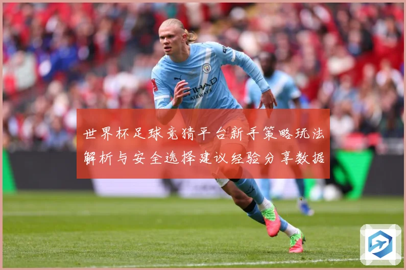 世界杯足球竞猜平台新手策略玩法解析与安全选择建议经验分享数据研判